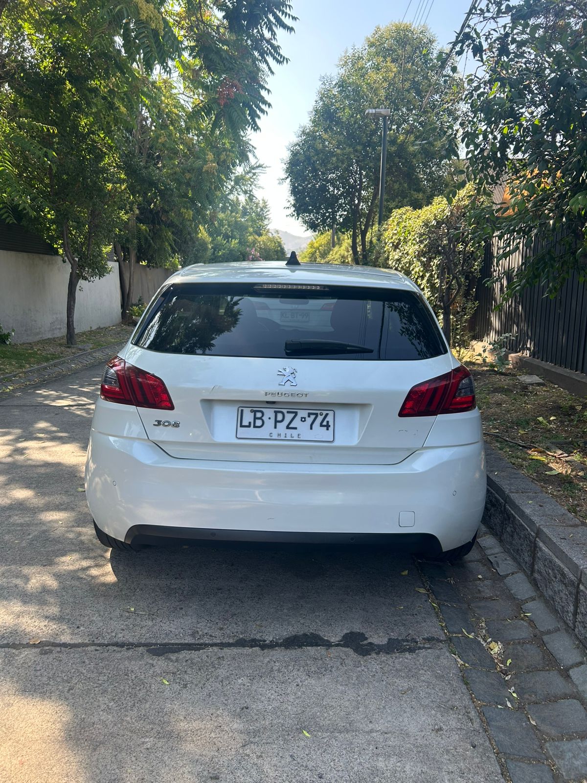 Jose Miguel Castillo